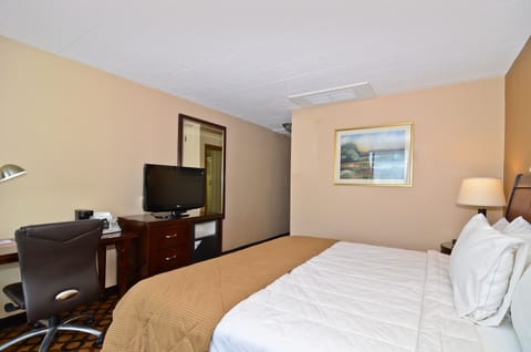 Premium bedding, desk, iron/ironing board, free WiFi