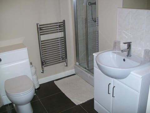 Luxury Suite | Bathroom | Shower, hair dryer, towels