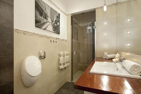 Apartment | Bathroom | Shower, hair dryer, towels, soap