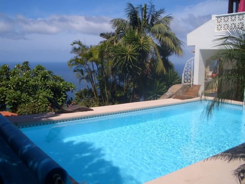 Outdoor pool, sun loungers