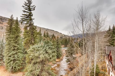 Vail Village with Mountain Views