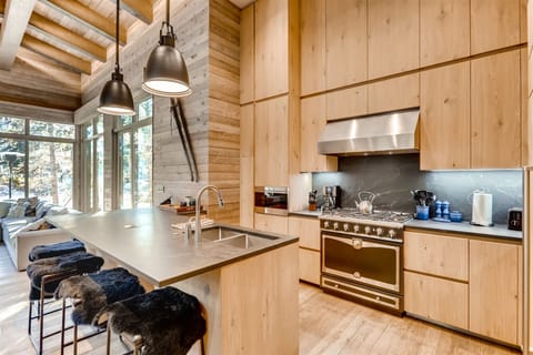 Large new contemporary home in Vail Village