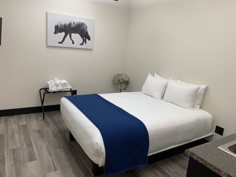 Standard Single Room, 1 Queen Bed, Accessible, Ground Floor with Shared Bath | Premium bedding, down comforters, Tempur-Pedic beds, iron/ironing board