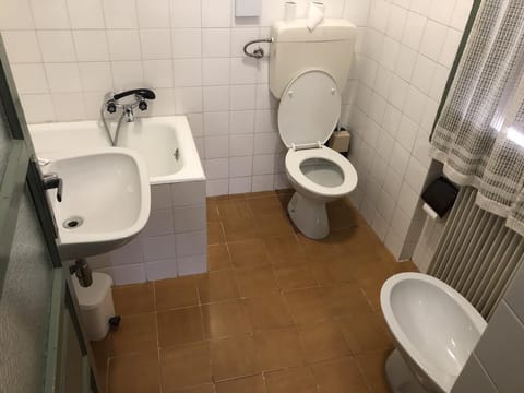 Double or Twin Room | Bathroom | Shower, hair dryer, bidet, towels