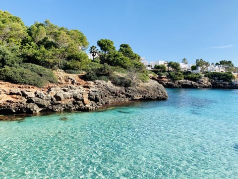 Beach nearby, beach bar