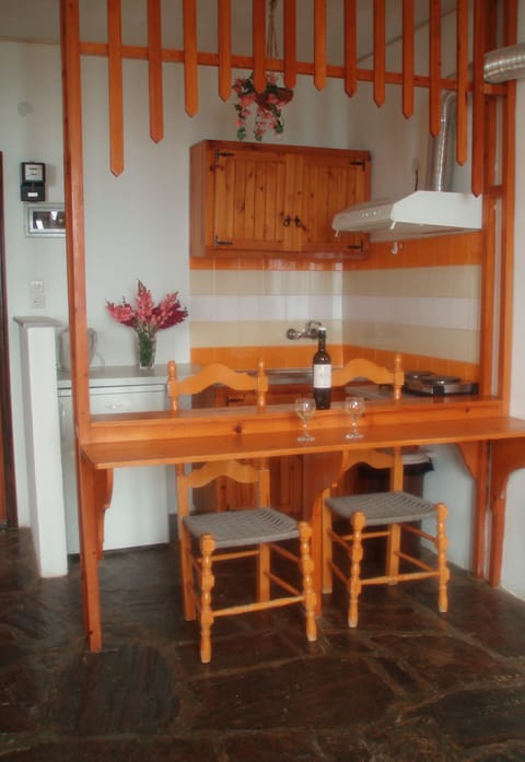 Classic Apartment, 1 Double Bed | Private kitchen | Fridge