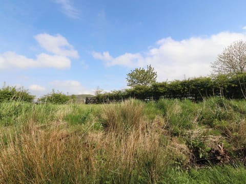 Cottage | Miscellaneous