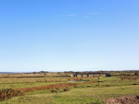 Cottage | Miscellaneous