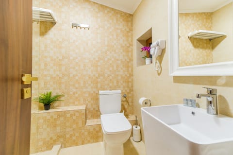 Deluxe Double Room (no. 7) | Bathroom | Shower, rainfall showerhead, free toiletries, hair dryer