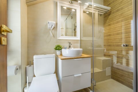 Superior Twin Room (no. 5) | Bathroom | Shower, rainfall showerhead, free toiletries, hair dryer