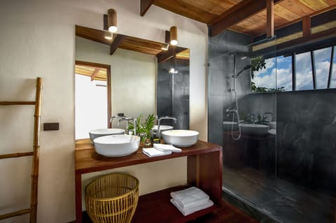 Ecolodge Suite | Bathroom | Shower, rainfall showerhead, free toiletries, hair dryer