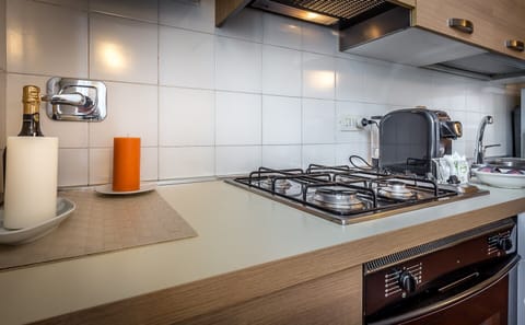Classic Apartment, 1 Bedroom | Private kitchen | Full-size fridge, oven, stovetop, espresso maker