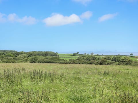 Cottage | Property grounds