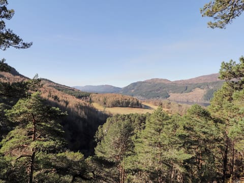 Cottage | Miscellaneous