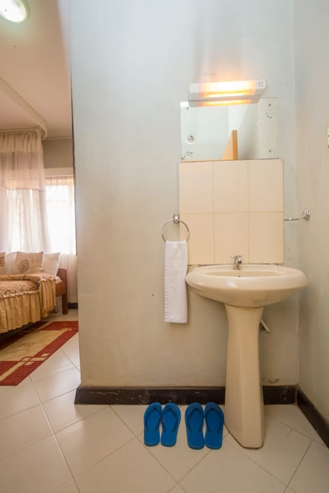 Deluxe Double Room | Bathroom | Shower, hydromassage showerhead, free toiletries, towels