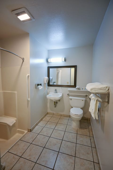 Room, 1 King Bed, Accessible, Non Smoking | Bathroom | Combined shower/tub, free toiletries, hair dryer, towels