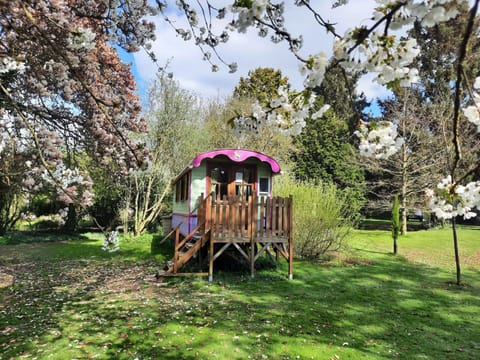 Basic Room, Patio, Garden View | Individually decorated, individually furnished