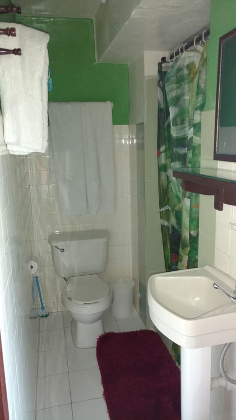 Comfort Apartment | Bathroom | Shower, rainfall showerhead, hair dryer, towels