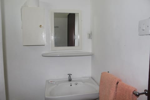 Standard Twin Room | Bathroom | Shower, free toiletries, hair dryer, towels