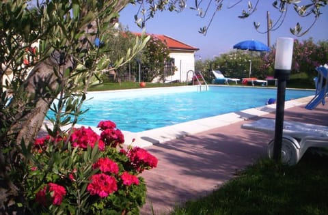 Outdoor pool, pool umbrellas