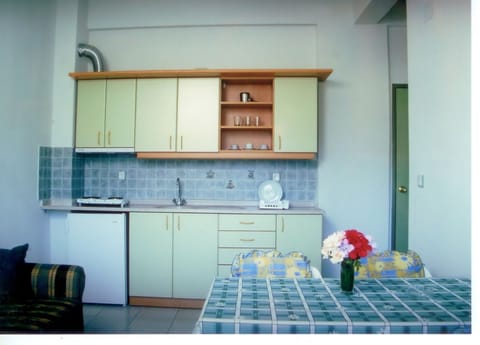 Standard Apartment, 1 Bedroom | Private kitchenette | Fridge, stovetop