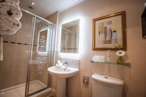 Premier Double Room (Room 9) | Bathroom | Hair dryer