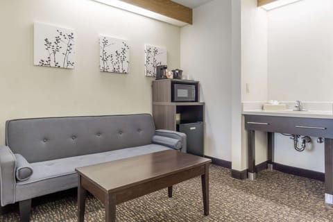 Suite, 1 King Bed with Sofa bed, Non Smoking | Pillowtop beds, in-room safe, desk, blackout drapes