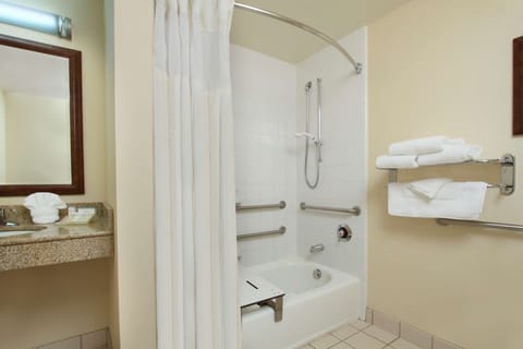 Combined shower/tub, free toiletries, hair dryer, towels