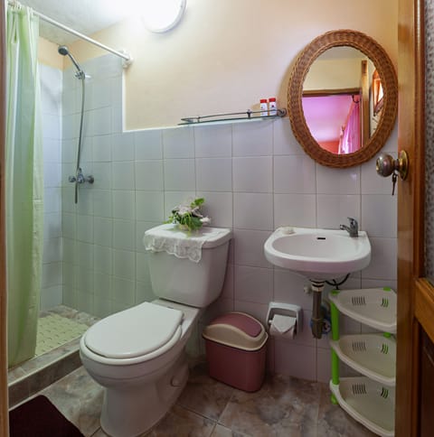 Standard Room, 1 Bedroom, Non Smoking, Courtyard View | Bathroom | Shower, rainfall showerhead, designer toiletries, hair dryer