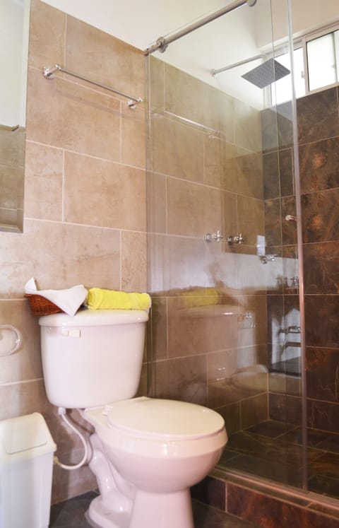 Shower, rainfall showerhead, hair dryer, towels