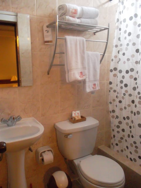 Family Room | Bathroom | Shower, free toiletries, hair dryer, towels