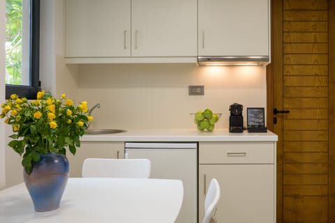 Superior Studio, Balcony | Private kitchenette | Fridge, stovetop, coffee/tea maker, electric kettle