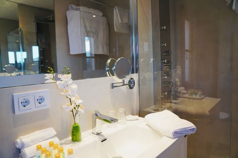 Basic Double Room | Bathroom | Hydromassage showerhead, hair dryer, towels, soap