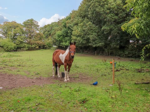 Cottage | Property grounds
