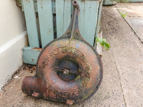 Cottage | Property grounds