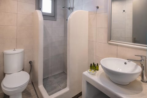 Superior Suite | Bathroom | Shower, free toiletries, hair dryer, towels