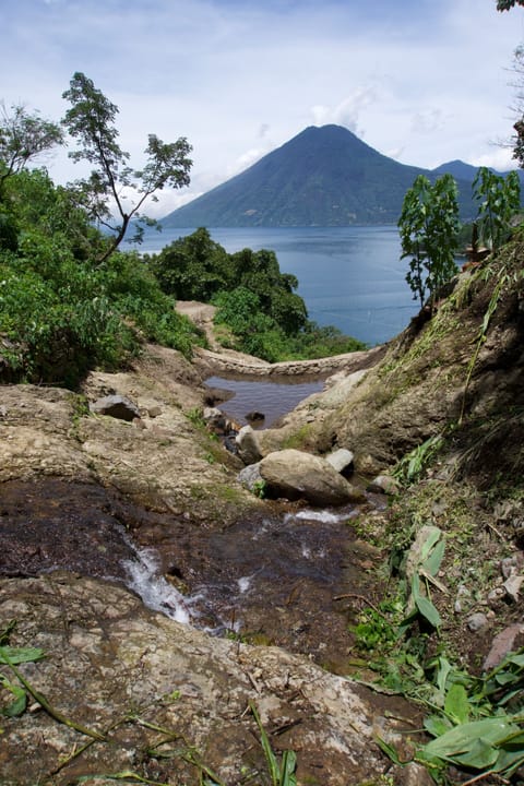 Natural pool