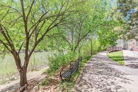 Indoor pool, open 10:00 AM to 10:00 PM, sun loungers