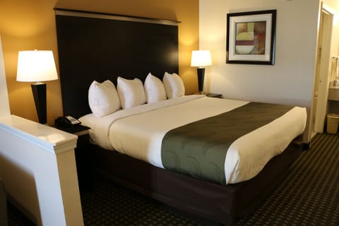 Standard Room, 1 King Bed | Desk, iron/ironing board, free WiFi