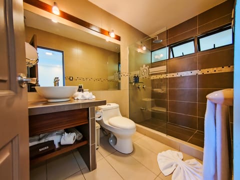 Shower, eco-friendly toiletries, hair dryer, bathrobes
