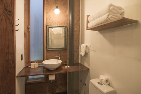 Suite | Bathroom | Shower, rainfall showerhead, free toiletries, hair dryer