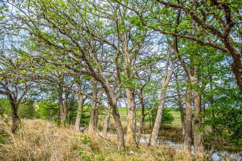 Private access to the Medina River is one of the many things that really sets the Hideaway apart!