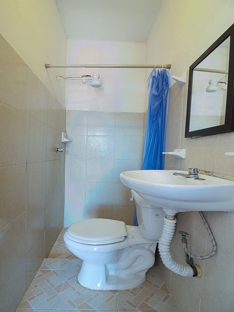 Standard Triple Room | Bathroom | Shower, towels, soap