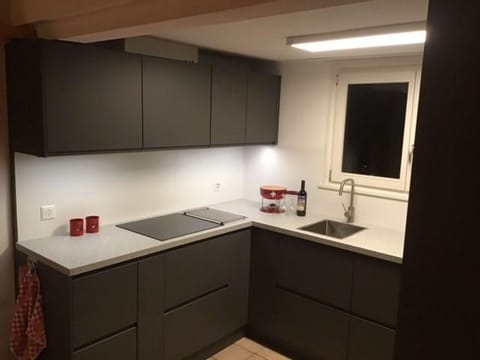 Cabinetry, Countertop, Kitchen Sink, Sink, Tap, Kitchen Stove, Kitchen, Wood, Kitchen Appliance, Lighting