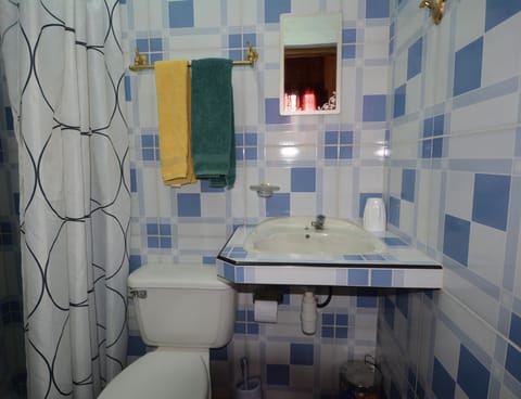 Habitacion # 1 | Bathroom | Combined shower/tub, rainfall showerhead, eco-friendly toiletries