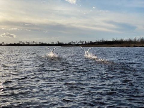 Boating