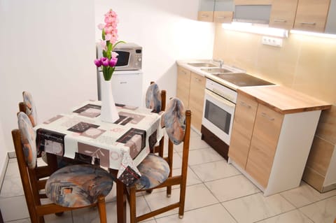 Grand Apartment | Private kitchen | Full-size fridge, microwave, oven, stovetop