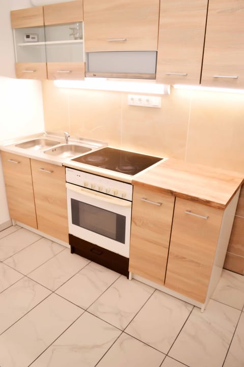 Grand Apartment | Private kitchen | Full-size fridge, microwave, oven, stovetop