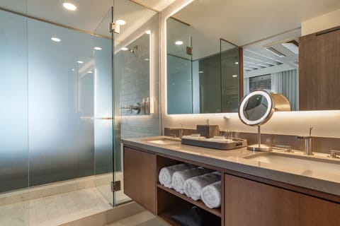 Crescent Suite | Bathroom sink