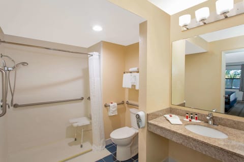 Room, 1 King Bed, Accessible, Non Smoking (Mobility/Hearing/Roll-In Shower) | Bathroom | Hair dryer, towels
